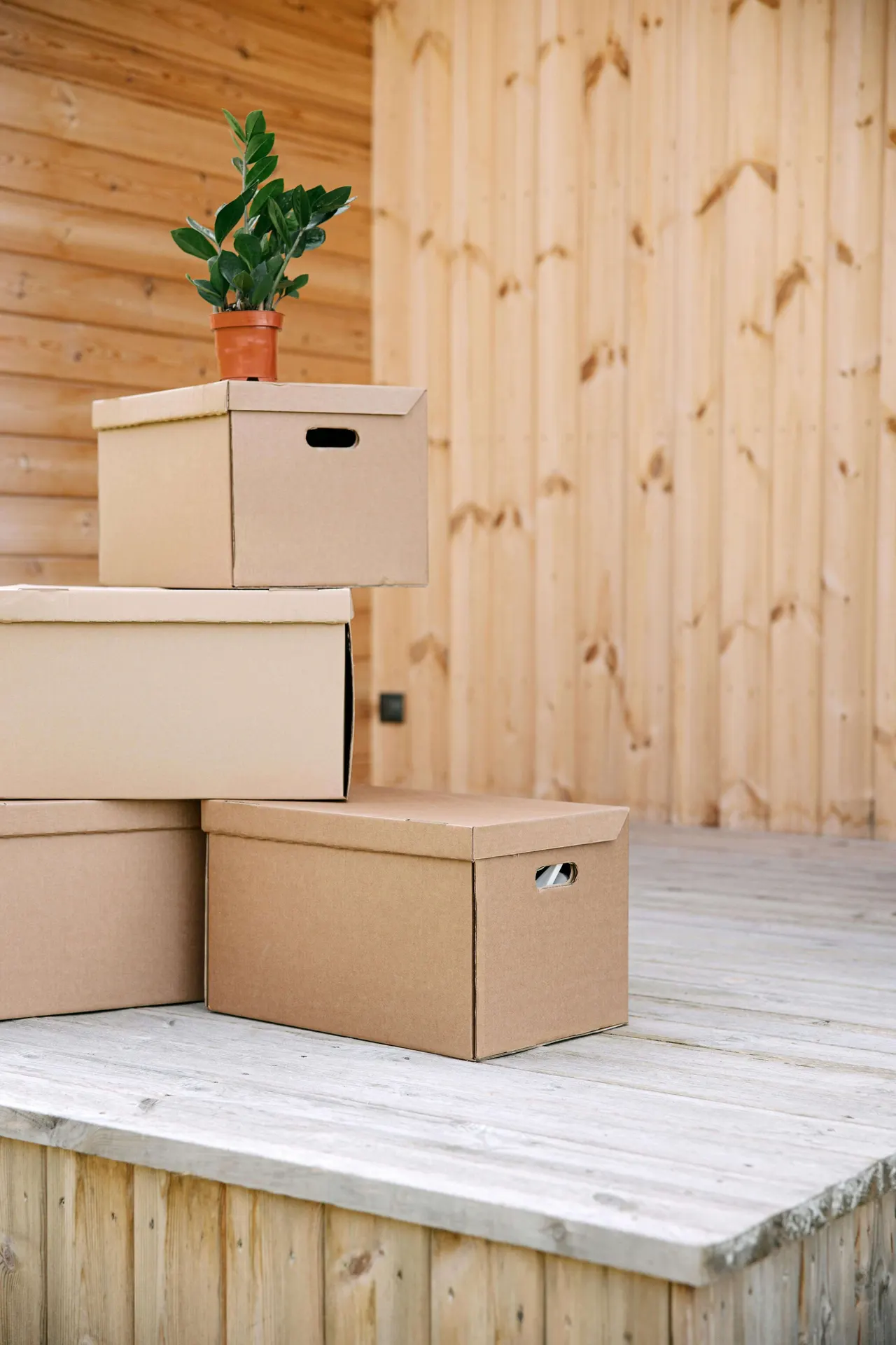 Professional Moving Team