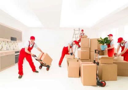 Professional Movers in San Diego